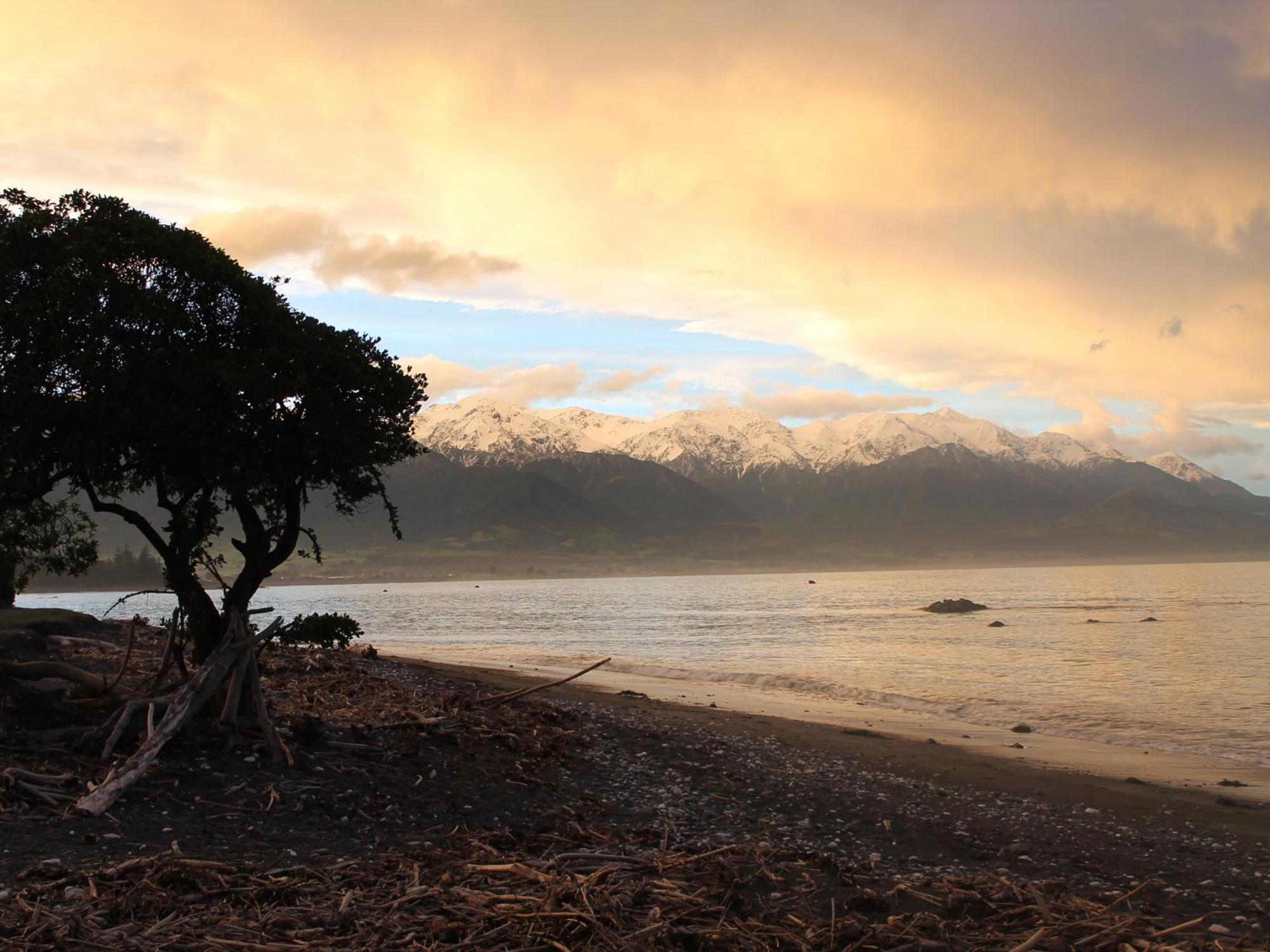 Inn The Bay Bed & Breakfast Kaikoura Extérieur photo