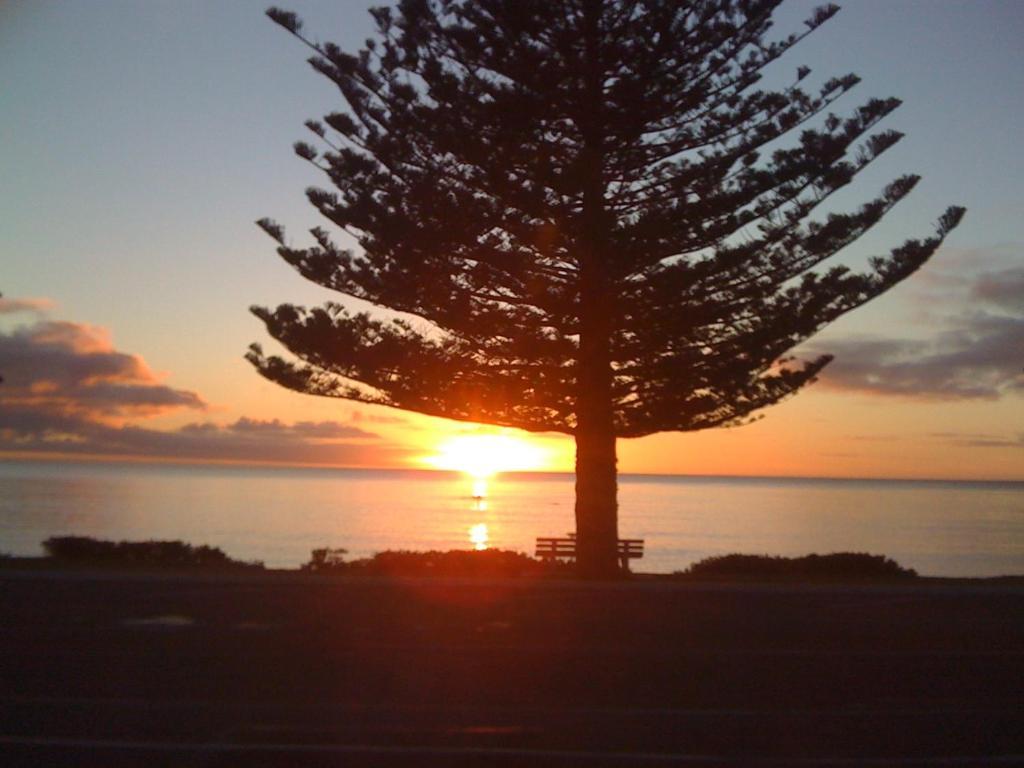 Inn The Bay Bed & Breakfast Kaikoura Extérieur photo